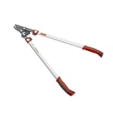 OUTILS WOLF OR650 Podadora de Corte Mixto y Poda Telescópica - Powercut Or650 - Or750 - Or900T (65)