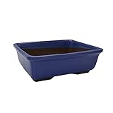 Kalapanta - Maceta Rectangular de gres Natural para Bonsái y Cactus en Azul Eléctrico Made in Italy, Medida cm 18x14x6, con Tierra específica, permitida en Agricultura ecológica