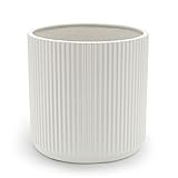 Amazon Basics Maceta de cerámica, estriada, 25.4 cm, blanca