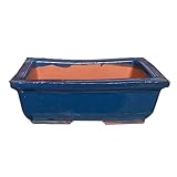 Maceta bonsai ceramica azul n3 14x9 cm