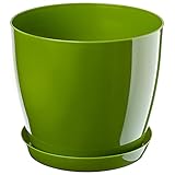 KADAX Maceta con plato, maceta redonda para interiores, elegante maceta de plástico, maceta ligera para flores y plantas para el hogar (20 cm de diámetro, color verde)