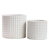 Olly & Rose Milan - Juego de macetas de cerámica blanca con puntos de hobnail para interiores, juego de 2 macetas (blanco brillante)