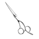 AOLANDUO Tijeras de peluquero de la serie Master de 6 pulgadas - Fundidas cuidadosamente con acero japonés de Aichi Tijeras de corte de pelo para estilistas de salón Esteticistas y peluqueros(Moderno)
