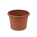 Jardinera greemotion Fiona, maceta de plástico resistente a los rayos UV, maceta con orificios inferiores, volumen aprox. 18 l, aproximadamente Ø 40 x H 26 cm