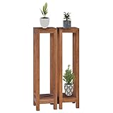 Chusui Soportes para Plantas 2 pzas, Maceteros Altos Interior, Soporte Macetas, Soporte para Plantas, Soporte Macetas Ventana, 25x25x100 cm Madera Maciza de Teca