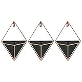 Wakauto Jardineras Colgantes Triangulares de 3 Piezas con Marcos de Metal de Oro Rosa Decoración de Pared Moderna para Sala de Estar de Dormitorio (Negro)