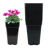 Murgiplast Macetas de plástico cuadradas para Plantas y Flores, maceteros de Cultivo, contenedores de plantación de Interior, 2,5 litros, 13x13x21 cm, 10 Unidades