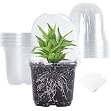 TSKDKIT Macetas de Plástico con Orificio, 10 Pcs Macetas de Vivero con Etiquetas de plástico 10 cm, Maceta Redonda de Seguro Pequeñas con Tapa Transparente para Plantas/Flores/Jardinería