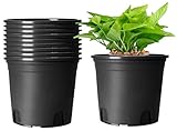 KAHEIGN 10 Piezas Plastico Macetas, 19,5cm Espesar Macetas Contenedor De Plantas Maceta De Jardinería Interior (Negro)