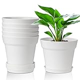 T4u 16cm Macetas plástico con platillo,Maceteros Decorativos Interior con Agujeros de Drenaje, Macetas para Plantas Flores,Decoración del Hogar Balcón Jardín,Juego de 6,Blanco