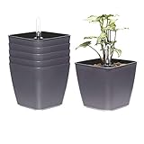 T4U 13CM Auto Riego Plantador Gris Cuadrada Paquete de 6, Maceta para Interiores al Aire Libre Jardines de Windowsill Planta Decorativa para Flores Hierbas