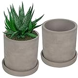 BELLE VOUS Maceteros Cemento Gris para Suculentas (Pack de 2) Tiestos para Plantas Platillo Desmontable - Maceta Cemento con Drenaje para Plantas Pequeñas, Cactus, Hierbas – Ventanas, Hogar, Oficina