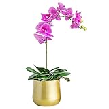 Bexdug Macetas Doradas para Interior | Maceta Dorada, Maceta metálica Redonda con Agujero Drenaje para Interiores o Exteriores, Color Dorado