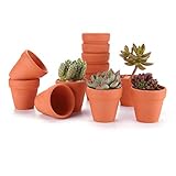 T4u Arte Arcilla de Terracota Rojo 8CM Paquete de 12, Maceta de Planta Vivero Suculento Cactus Hierba DIY Jardinería Decoración para Escritorio Antepecho de Oficina Regalo para Boda Navidad