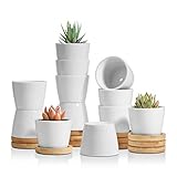 T4u 6 CM Ceramica Blanca Macetas para Flores Conjunto de 12, Diseño Simple Cerámicos Planta Maceta Suculento Cactus Planta Contenedor Vivero Macetas de jardín Envase