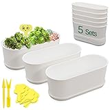 5x Maceteros Rectangular Con Bandeja,22 x 9 x 8,5cm,Blanca Plástico Planificadores Rectangulares con Agujero Drenaje,Jardinera Alféizar Maceta Para Cactus Para Decoración Moderna,Plantas Suculentas