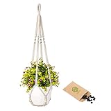 Seed Macetero Colgante + Semillas de Regalo - Maceteros Colgantes - Soporte para Plantas - Macrame Colgante - Maceteros Macrame - Macetero Uso Interior