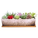 Macetas suculentas rectangulares de 12 Pulgadas de Largo con bandejas de Drenaje, macetas Grandes de cerámica con Cactus para Plantas de Interior/Exterior, Caja de Ventana de bonsái Poco Profunda