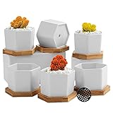 Coolty 6pcs Mini Maceta Suculenta de Cerámica Hexagonal Blanco Cactus Suculentos Bonsái Maceta con Bandeja de Bambú y Almohadilla de Malla para Decoración del Hogar y la Oficina Regalo, 8.1CM