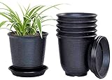 KAHEIGN 6 Piezas Plastico Macetas, 15,5cm Espesar Macetas Contenedor De Plantas Maceta De Jardinería Interior con Palet De Drenaje (Negro)