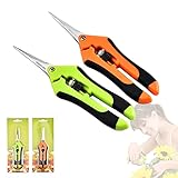 CIOUYAOS 2 tijeras de podar pequeñas, profesional Shears para jardineria, bonsái, árboles, plantas,flores, cosecha frutas, verduras