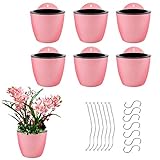 AISENPARTS Paquete de 7 macetas de plástico para Colgar en la Pared con riego automático Maceta Decorativa Moderna con 7 Ganchos Aptos Plantas Flores Interiores y Exteriores (Blanco Rosa Negro)