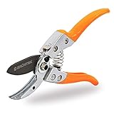 GRÜNTEK Tijera de Podar Recolectora Bussard 20 cm. Podadora de Yunque para corte de Frutales Olivos Viñas Rams y Flores