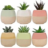 BELLE VOUS Mini Macetas Decorativas de Cerámica (Pack de 6) 6 x 5,5 cm – Set Tiestos Decorativos con Agujero de Drenado – Hogar, Oficina, Interior y Jardín - Maceta Cactus y Suculentas