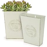 Belle Vous Pack de 2 Macetas Decorativas de Metal Blanco para Flores 22 cm de Alto - Tiestos para Plantas Metal Galvanizado Vintage Shabby Chic - Maceta Blanca Hogar y Jardín