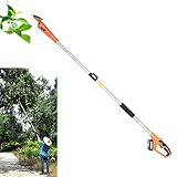 Tijeras de podar eléctricas con mango telescópico, con batería, podadora