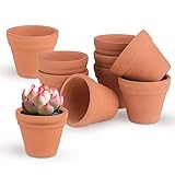 TYFYH 10 Mini Macetas para Flores de Terracota 3,5cm Maceta de Planta, Mini Cactus Suculento Miniatura Macetas Pequeñas para Vivero, Cactus y Plantas Suculentas