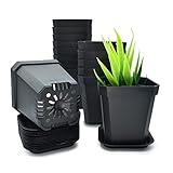 Green Thumbz Macetas cuadradas pequeñas, macetas de plástico Negro para Flores Decorativas de Interior y Exterior y Plantas con bandejas - Paquete de 15