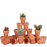 Juego de 28 Maceta de Florero,tiestos para Plantas 5,5cm,macetas de Terracota con Orificio de Drenaje para Balcón Jardín Decoración para el Hogar maceteros Exterior Regalo Boda Navidad