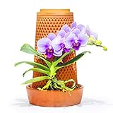 Vertplanter Macetas de Barro Decorativas para Interior con Sistema Autorriego,Maceteros de Terracota y Plato para Plantas Decorativas como Orquidea