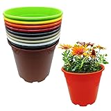 Murgiplast Macetas de plástico para Plantas y Flores, maceteros Decorativos de jardín, contenedores de Cultivo de Colores, 22 cm, 10 Unidades