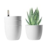 T4u Auto Riego Plantador Blanco 15CM Ronda Paquete de 4, Planta Maceta Cajas para Interiores Al Aire Libre Jardines de Windowsill Idea Regalo para Cumpleaños y Boda y Navidad