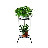 Rainao Soporte Para Plantas De Interior,Estante Para Plantas,Jardinera,Macetas Soporte Plantas Interior,Soportes Altos Para Plantas,Estante De Plantas Decorativas Para Macetas,Para Esquina,Patio,