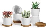 ComSaf 8.5CM Ceramic Succulent Plant Pot Cactus Planter Window Box with Tray - Small White Pack of 6, Desktop Windowsill Office Decoration Birthday Wedding for Garden Lover