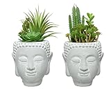 Decoris Suculentas artificiales 23 cm x 1 pieza en maceta de gres Buda surtidos plantas artificiales cactus