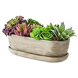 botle Maceta de cerámica, cuenco para cactus, posavasos, cactus, bonsái, suculentas (ovalado, hormigón gris)