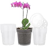 TSKDKIT 10 Pieza Maceta de Plástico Transparente, Maceta de Plásticos para Orquídeas con Agujeros de Drenaje Reutilizable, Ø 11.5 cm Maceta Orquidea Transparente para Balcón Interior y Exterior