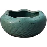 YQWYS Cenicero de estilo japonés, flor de cerámica de gres, planta suculenta hidropónica en maceta, cenicero de piedra tradicional antiguo, verde