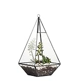 Moderno terrario geométrico de cristal con forma de pirámide para colgar en soporte de pared, DIY, transparente, maceta decorativa abierta, para helecho, musgo, 24 cm de altura