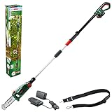 Bosch Home and Garden UniversalChainPole 18 - Sierra de cadena telescópica (1 batería 18V 2.5Ah, cargador, Power4All 18V), Color Verde