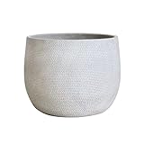 Olly & Rose Maceta de cerámica Barcelona grande de 25 cm, color blanco roto y gris, macetas para interiores y exteriores, extra grande