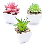 Hriymtd 3 Piezas Planta Artificial Interior suculentas de plástico con Maceta de cerámica Mini Plantas Falsas Verdes Plantas para decoración de Oficina