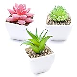 Hriymtd 3 Piezas Planta Artificial Interior suculentas de plástico con Maceta de cerámica Mini Plantas Falsas Verdes Plantas para decoración de Oficina