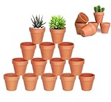 HDKAJL 20 Mini Macetas para Flores de Terracota, con Necesidad de Drenaje, para Casas de Cactus y Suculentes Enteras (3.5x3 cm)