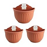 WUHUAROU Juego de 3 macetas colgantes de plástico para colgar en la pared para plantas, maceteros colgantes de resina para colgar hierbas, cactus o plantas suculentas, color rojo ladrillo