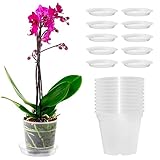 Orssmigs 10 Pieza Maceta Orquidea Transparente, Macetas para Orquídeas, Maceta de Plástico Transparente con Agujeros de Drenaje para Balcón, Interior y Exterior